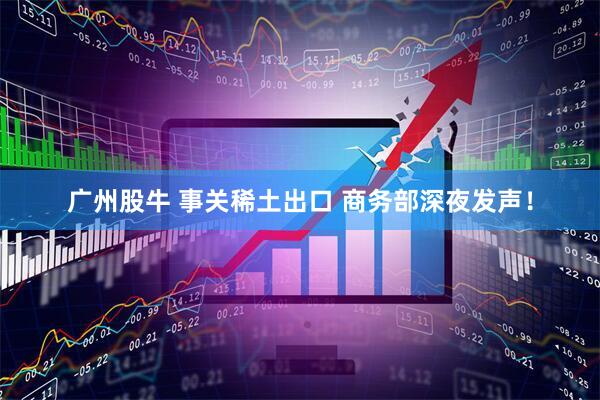 广州股牛 事关稀土出口 商务部深夜发声！