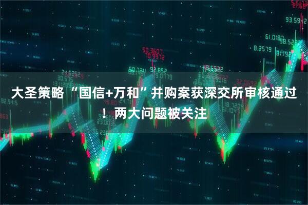 大圣策略 “国信+万和”并购案获深交所审核通过！两大问题被关注