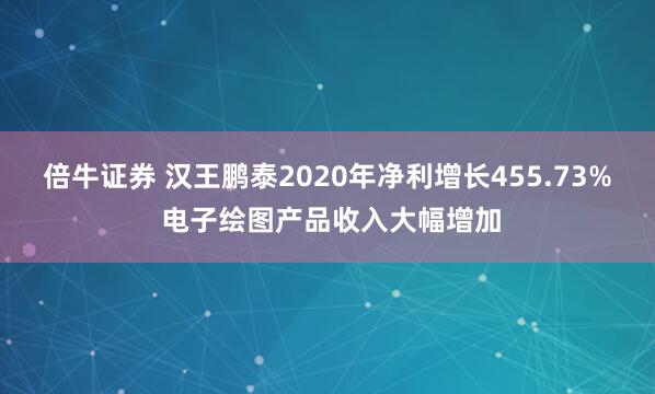 倍牛证券 汉王鹏泰2020年净利增长455.73% 电子绘图产品收入大幅增加